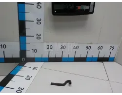 Шланг