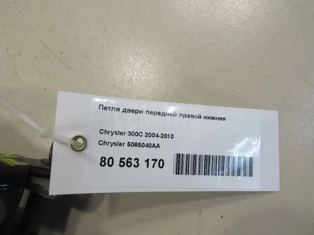 Петля двери передней правой нижняя