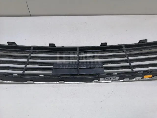 Решетка в бампер центральная для  BMW X2 F39 2018-2023
