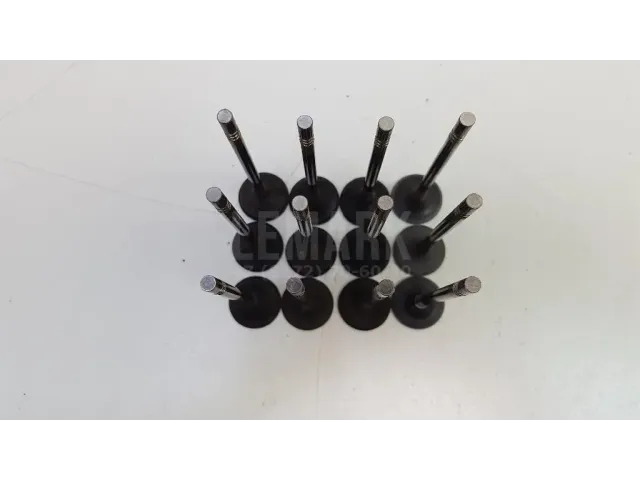 Клапан выпускной