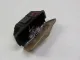 Пепельница задняя (в дверь) для  Alfa Romeo 166 1998-2007