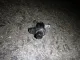 Выключатель концевой