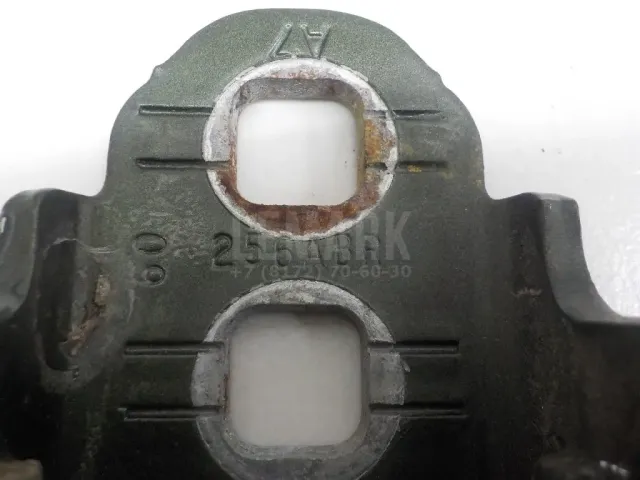 Петля двери для  ERF EC10 1995-2004