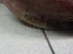 Дверь задняя левая
