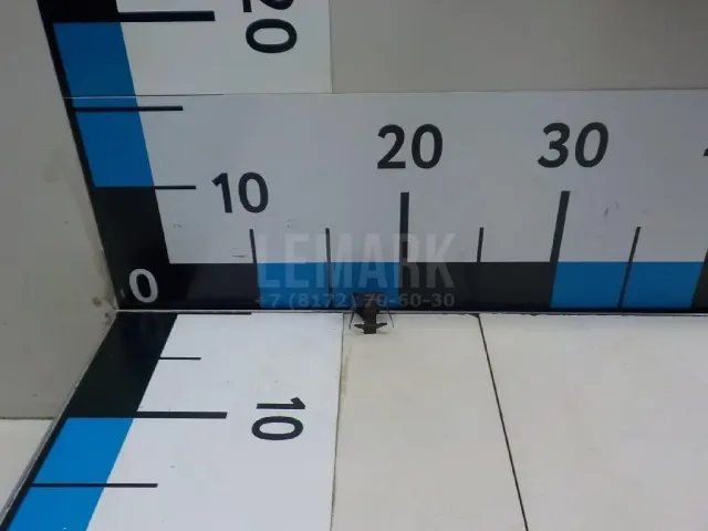 Пружина (двигатель)