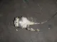 Моторчик привода круиз контроля