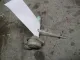 Датчик уровня в бачок омывателя для  DAF