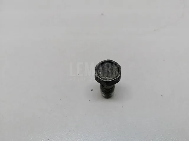 Болт полый для  Ford Maverick 2001-2007