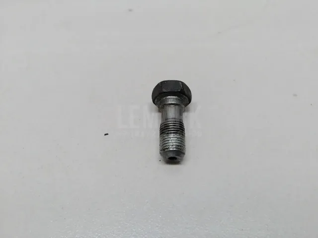 Болт полый для  Ford Maverick 2001-2007