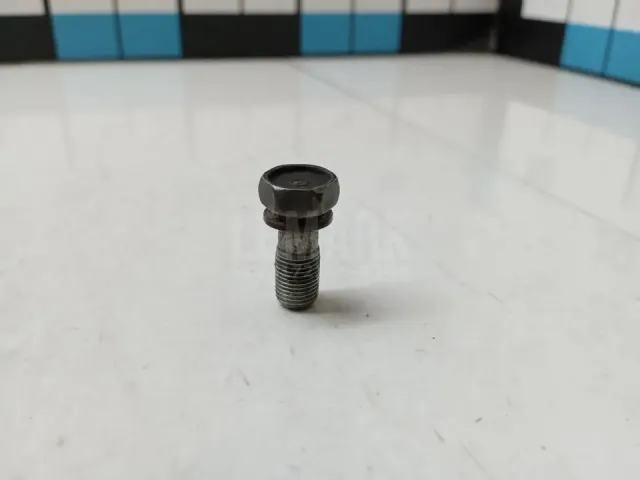 Болт полый для  BMW X5 F15/F85 2013-2018