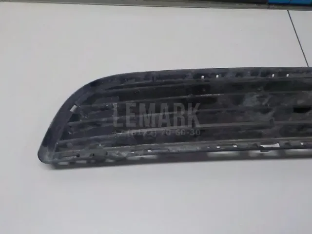 Решетка в бампер для  Ford Transit/Tourneo Connect 2002-2013
