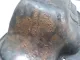 Поддон масляный двигателя