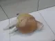 Бачок расширительный