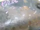 Поддон масляный двигателя для  FAW 1041 2005-2016