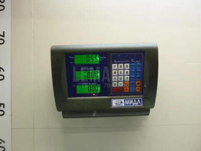 Блок управления двигателем