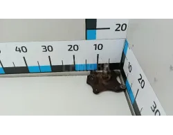 Цапфа (п.з.к.)