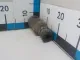 Пыльник с отбойником к-кт на 1 передней подвески