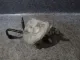 Цилиндр тормозной главный