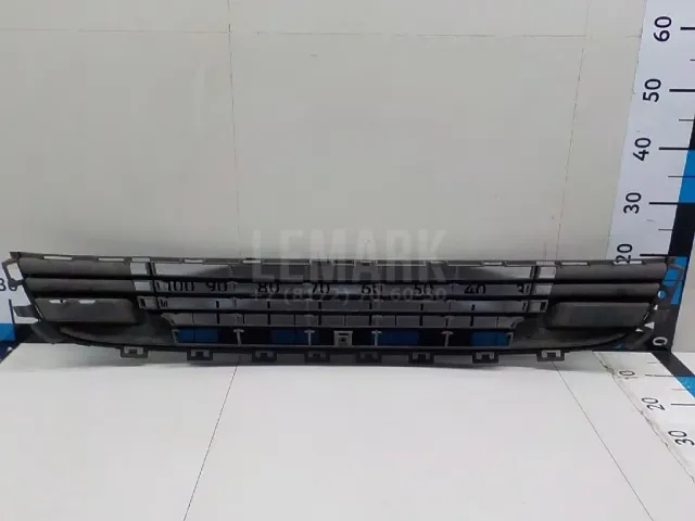 Решетка в бампер центральная для  Ford Transit/Tourneo Connect 2002-2013