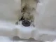 Бачок омывателя лобового стекла