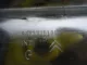 Молдинг задней левой двери для  BPW ECO 0-1996