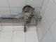 Балка задняя