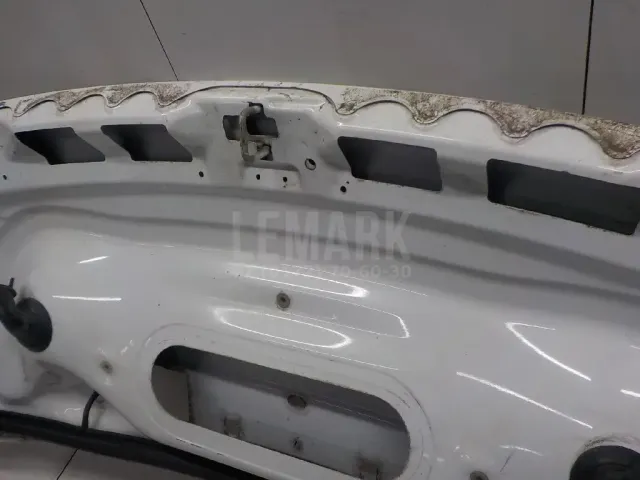 Капот для  Geely Tugella (FY11) 2020