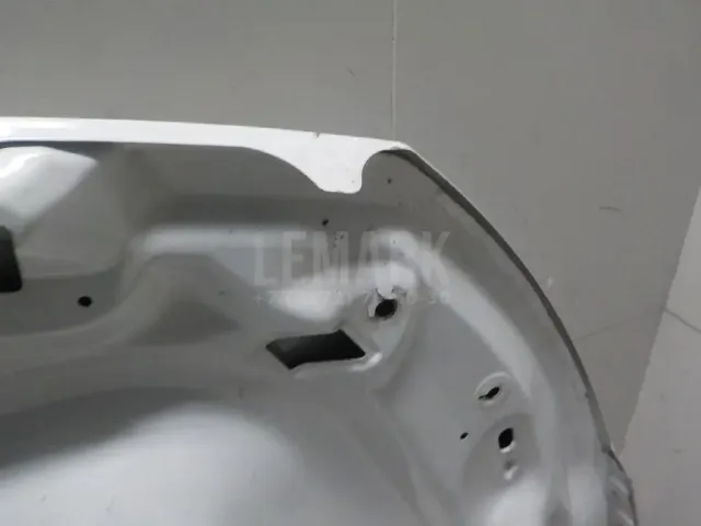Капот для  Geely Tugella (FY11) 2020