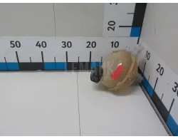 Бачок расширительный