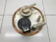 Насос топливный электрический