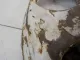 Колпак декоративный