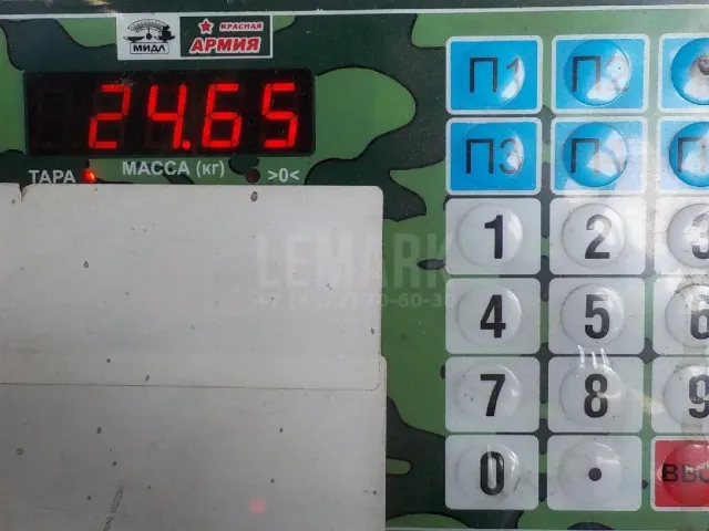Дверь передняя левая