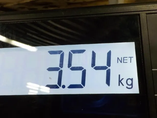 Кронштейн двигателя передний