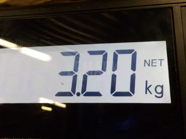 Кронштейн двигателя передний