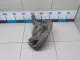 Кулак поворотный передний левый