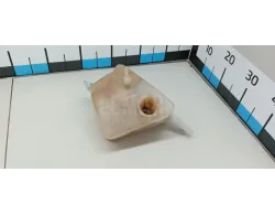 Бачок расширительный
