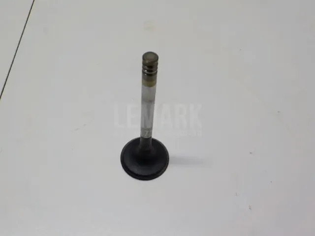 Клапан впускной