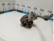 Суппорт тормозной передний левый