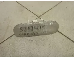 Плафон салонный