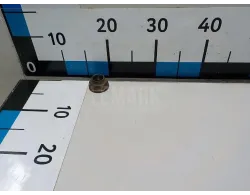 Гайка передней ступицы