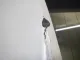Дверь багажника со стеклом