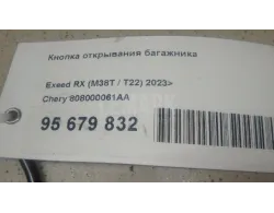 Кнопка открывания багажника