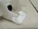 Бачок омывателя лобового стекла