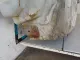 Лонжерон передний правый