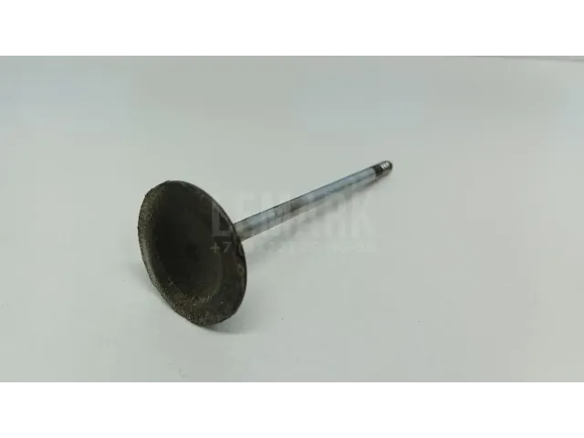 Клапан впускной для  DAF 95 1987-1998