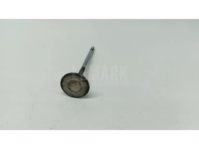 Клапан выпускной