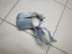 Рамка противотуманной фары правой для  Ford Fiesta 2001-2008