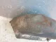 Локер задний правый