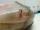 Бачок расширительный для  Citroen Jumper 230 1994-2002