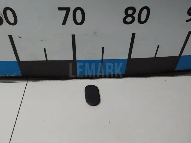 Заглушка для  Chevrolet Evanda 2004-2006